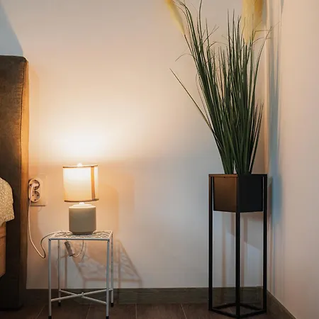 The Dom 21 Appartement *