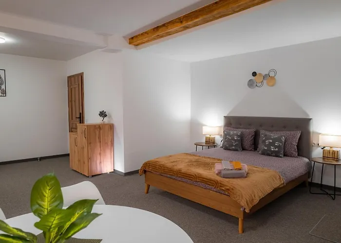 Apartment The Dom 21 Cluj-Napoca